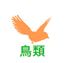 鳥類